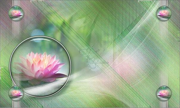 Afbeelding met roze, luchtbel, bloem, reflectie  Automatisch gegenereerde beschrijving